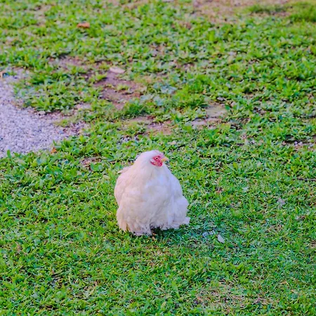 Dimora Del 700' Lejlighed *