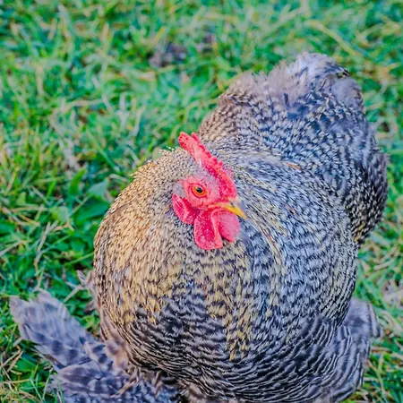 Dimora Del 700' Appartement *